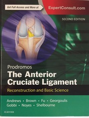 Graft Remodeling & Ligamentization after ACL Reconstruction